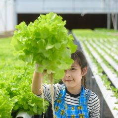 Farming Lesson Plans are Now Available for Wisconsin Learners of All Ages