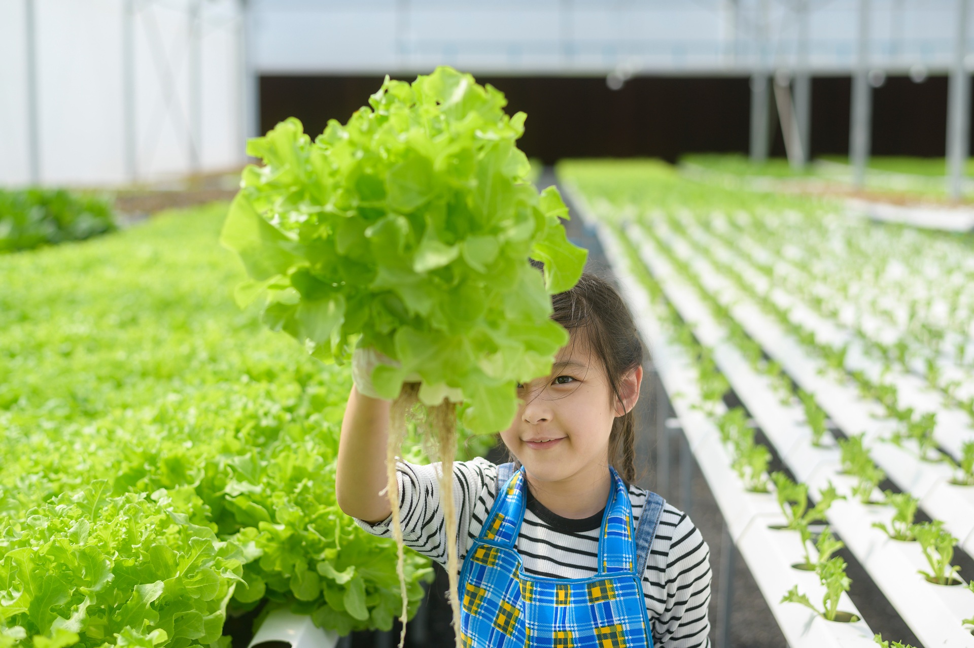 Farming Lesson Plans are Now Available for Wisconsin Learners of All Ages